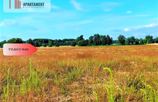 ZŁAWIEŚ MAŁA 1002m2 CISZA SPOKÓJ SUPER LOKALIZACJA