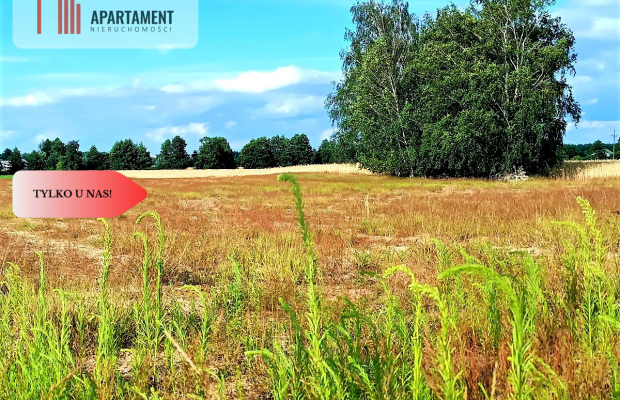 ZŁAWIEŚ MAŁA 1002m2 CISZA SPOKÓJ SUPER LOKALIZACJA