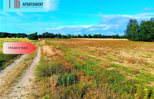 ZŁAWIEŚ MAŁA 1002m2 CISZA SPOKÓJ SUPER LOKALIZACJA