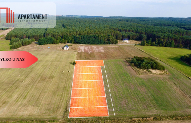 Promocja 100 tyś.! Kaszowo! Przy Lesie!