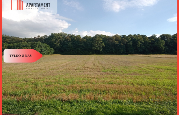 Działki pod lasem