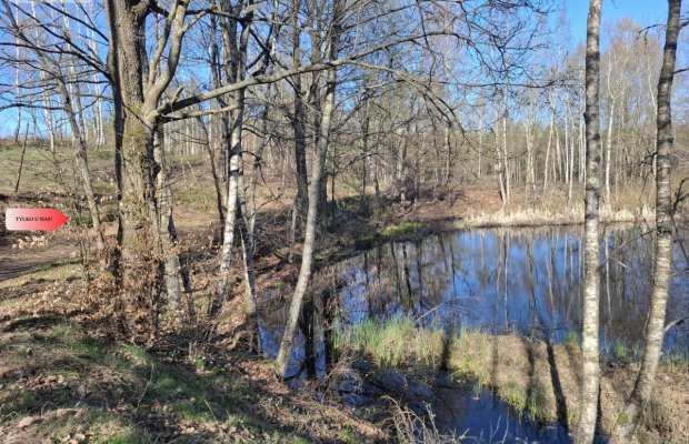 Działka 3 ha z lasem i stawem | WZ | Jeleńcz