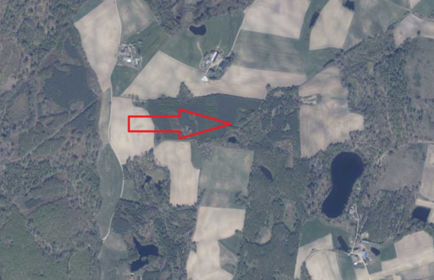 Działka 3 ha z lasem i stawem | WZ | Jeleńcz