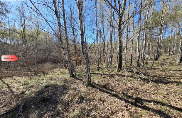 Działka 3 ha z lasem i stawem | WZ | Jeleńcz