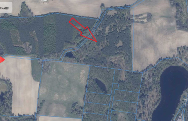 Działka 3 ha z lasem i stawem | WZ | Jeleńcz