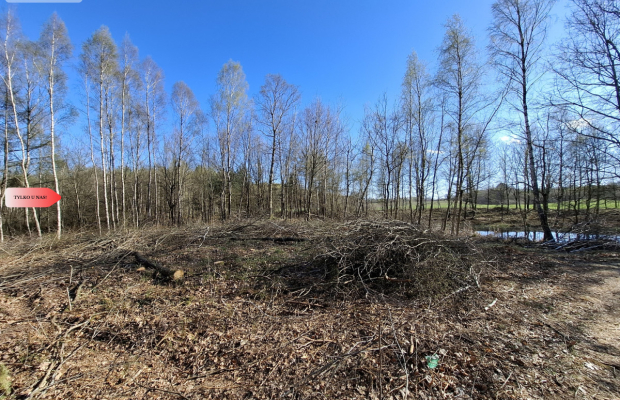 Działka 3 ha z lasem i stawem | WZ | Jeleńcz