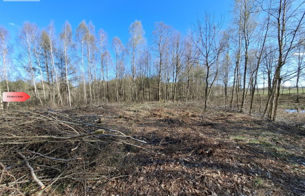Działka 3 ha z lasem i stawem | WZ | Jeleńcz