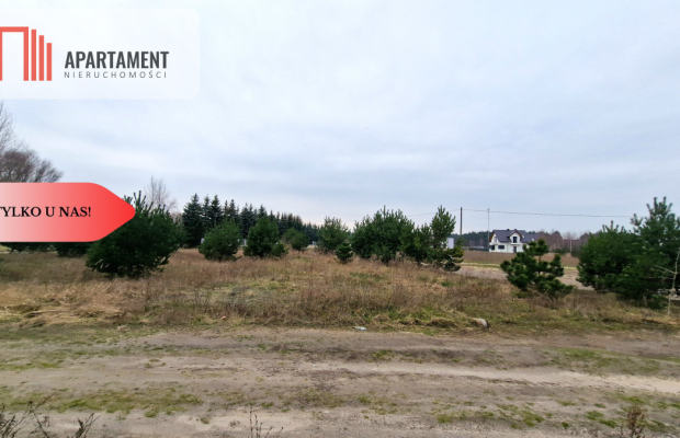 *Działka  z projektem domu ok. Szubina