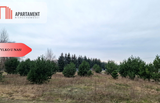 *Działka  z projektem domu ok. Szubina