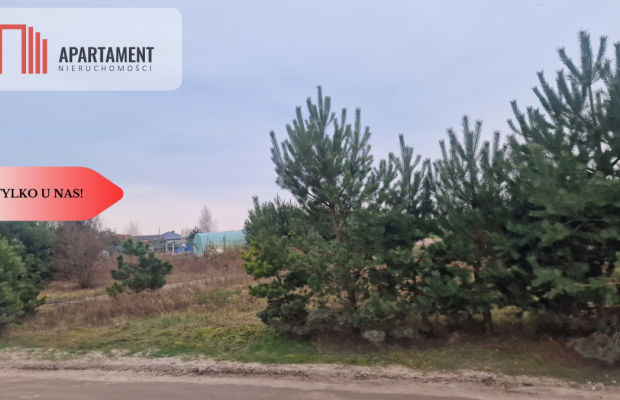 *Działka  z projektem domu ok. Szubina