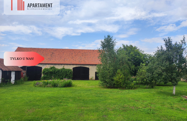 Działka rolna z dużą stodołą.