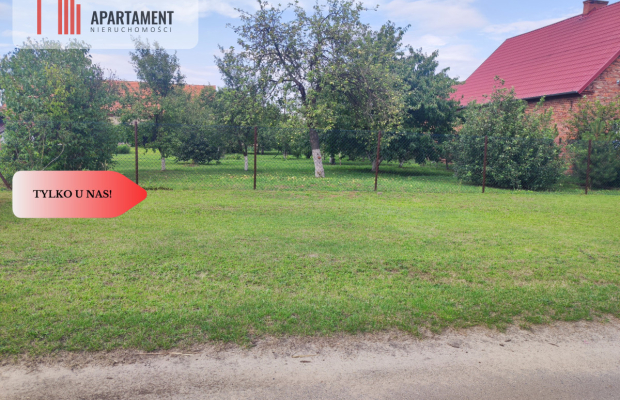 Działka rolna z dużą stodołą.