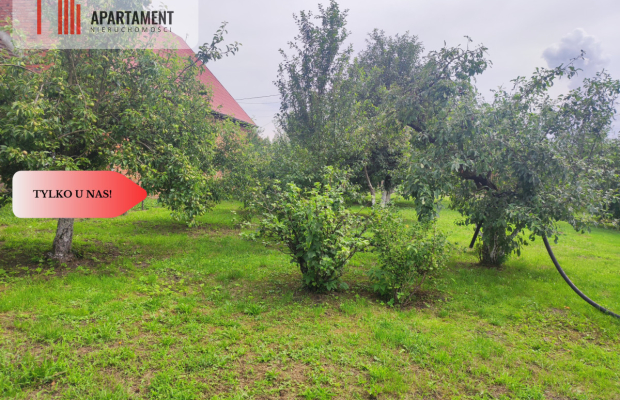 Działka rolna z dużą stodołą.