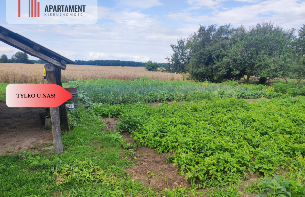 Działka rolna z dużą stodołą.