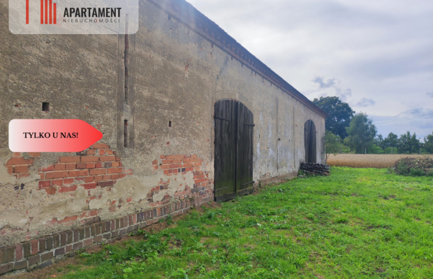 Działka rolna z dużą stodołą.