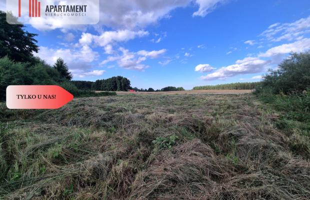 Działka budowlana w Boroszewie