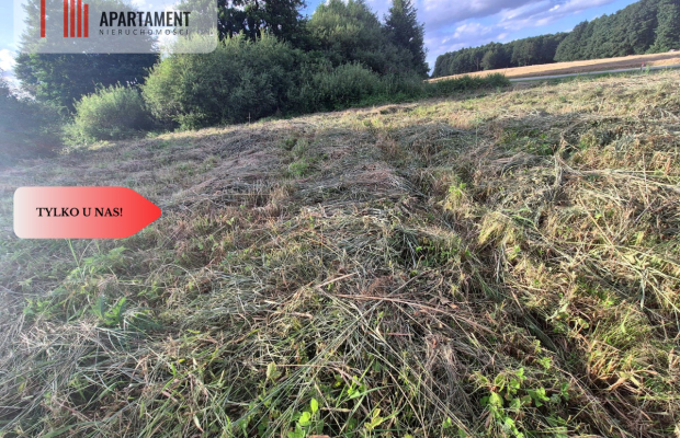 Działka budowlana w Boroszewie