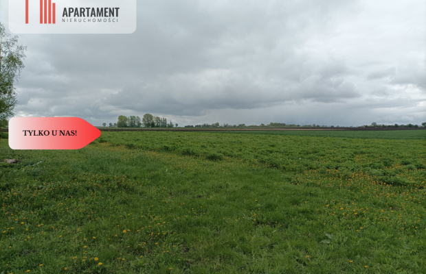 Budynek z potencjałem na dużej działce