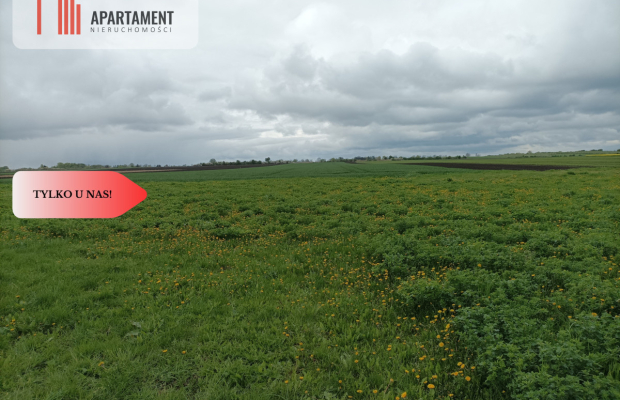 Budynek z potencjałem na dużej działce