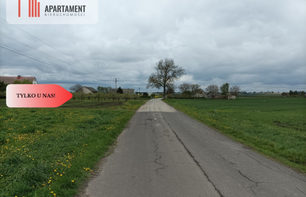 Budynek z potencjałem na dużej działce