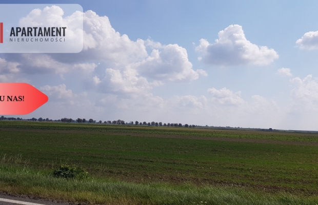 Działka przy obwodnicy z warunkami zab. Usługi!