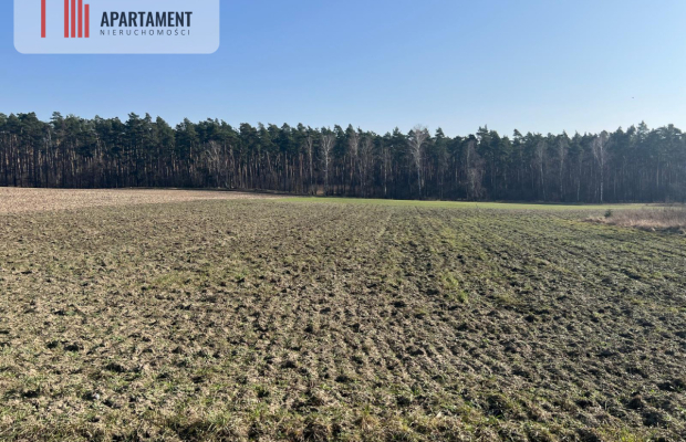 Działka budowlana w Ojrzanowie