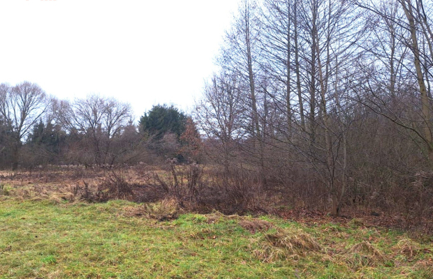 Działki budowlane z WZ w Murowańcu