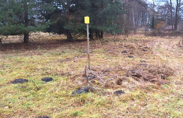 Działki budowlane z WZ w Murowańcu