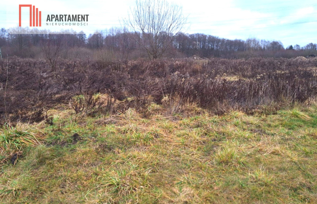 Działki budowlane z WZ w Murowańcu