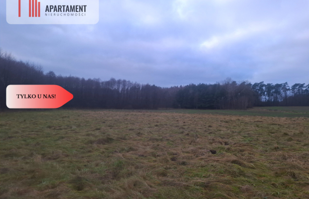 TYLKO U NAS !!! ATRAKCYJNA DZIAŁKA BLISKO LASU