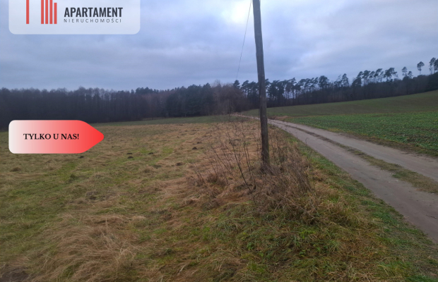 TYLKO U NAS !!! ATRAKCYJNA DZIAŁKA BLISKO LASU