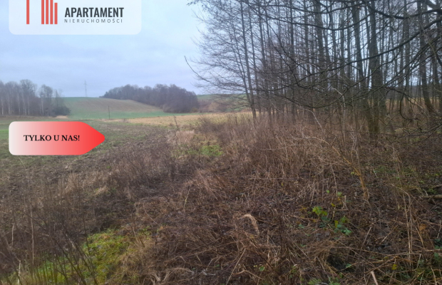 TYLKO U NAS !!! ATRAKCYJNA DZIAŁKA BLISKO LASU