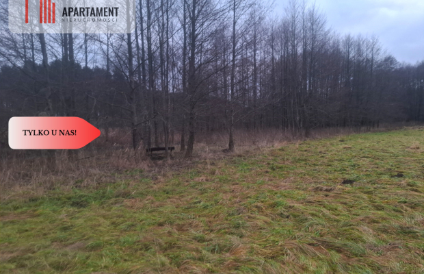 TYLKO U NAS !!! ATRAKCYJNA DZIAŁKA BLISKO LASU