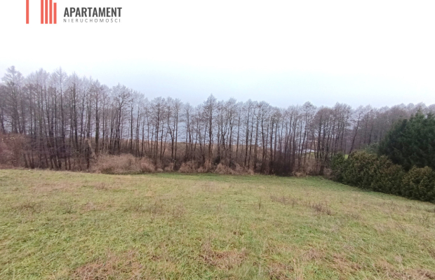 Działka rekreacyjna nad jeziorem