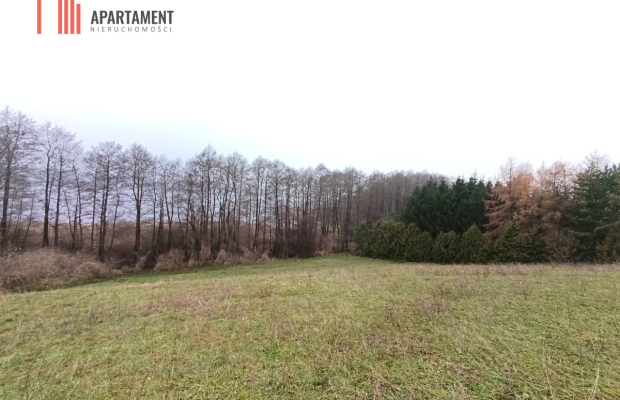 Działka rekreacyjna nad jeziorem