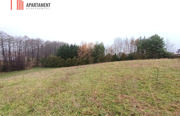 Działka rekreacyjna nad jeziorem