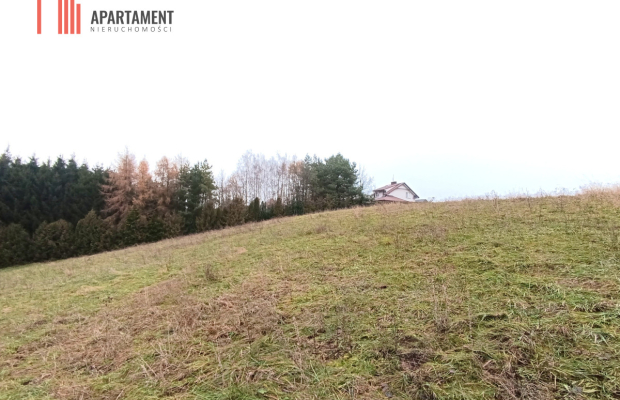 Działka rekreacyjna nad jeziorem