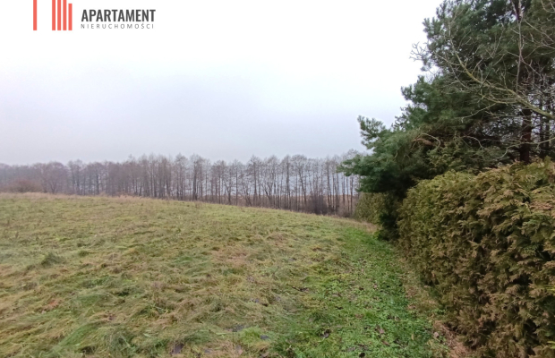 Działka rekreacyjna nad jeziorem