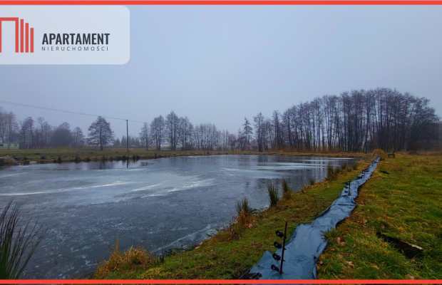 Duża działka z zarybionym stawem. Niska Cena