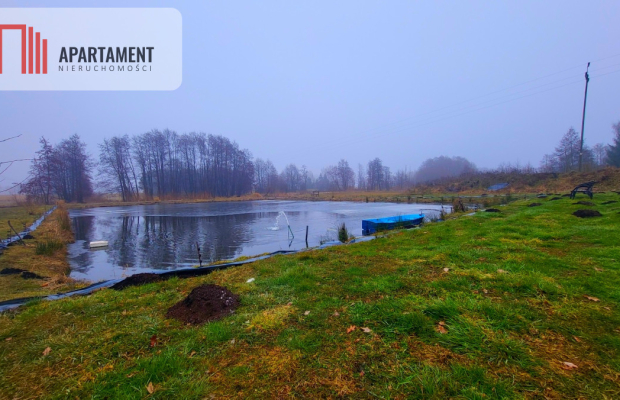 Duża działka z zarybionym stawem. Niska Cena