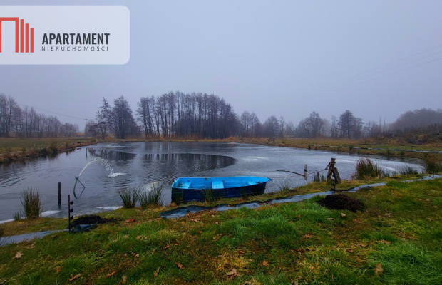 Duża działka z zarybionym stawem. Niska Cena