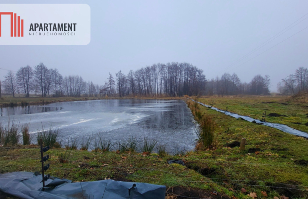 Duża działka z zarybionym stawem. Niska Cena