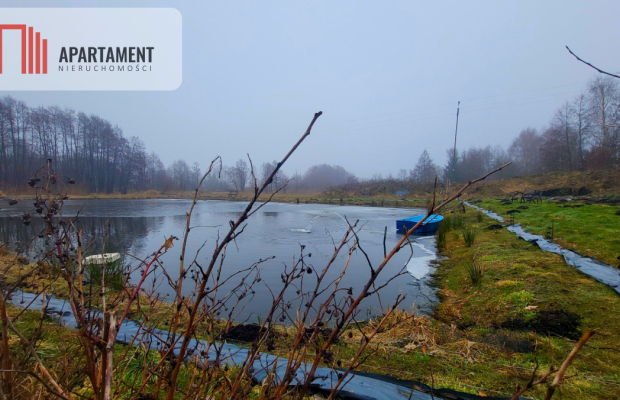 Duża działka z zarybionym stawem. Niska Cena