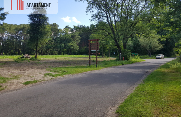 Działka siedliskowa  pod lasem (6 sztuk )