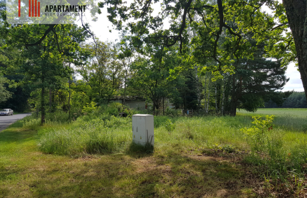 Działka siedliskowa  pod lasem (6 sztuk )