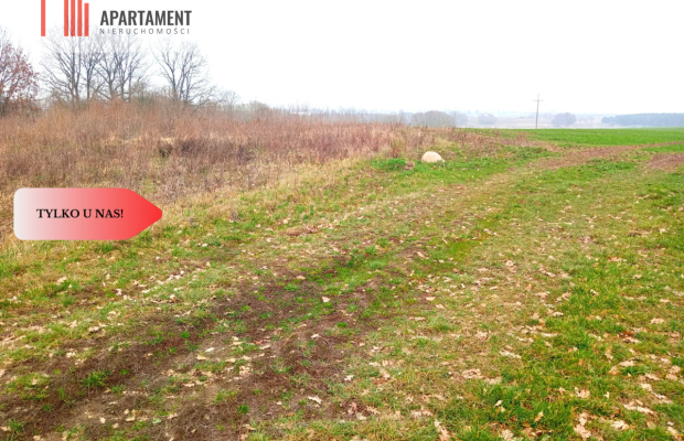 Malownicza działka wśród lasów i pól - OKAZJA