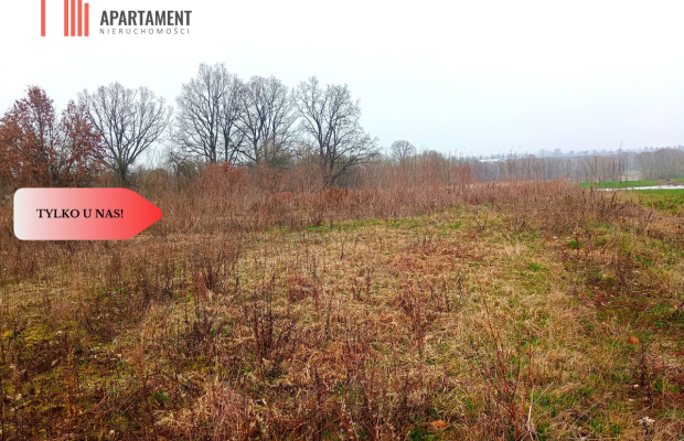 Malownicza działka wśród lasów i pól - OKAZJA