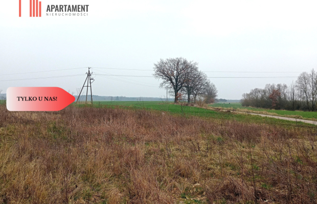 Malownicza działka wśród lasów i pól - OKAZJA