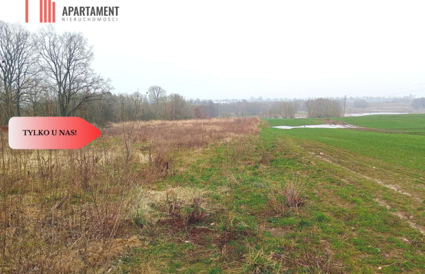Malownicza działka wśród lasów i pól - OKAZJA