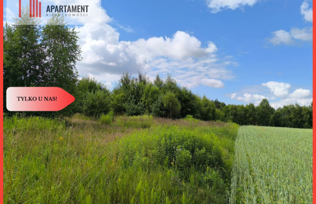 Tylko u nas!!!Przy lesie!!! 4,17 h z zabudową !!!